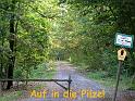 2010-09-19, Pilze (1)